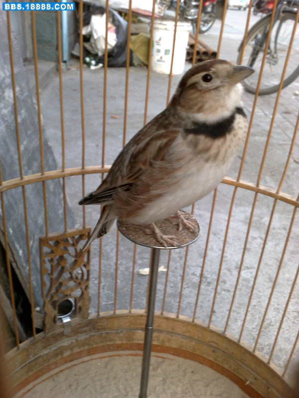 20111003067.jpg