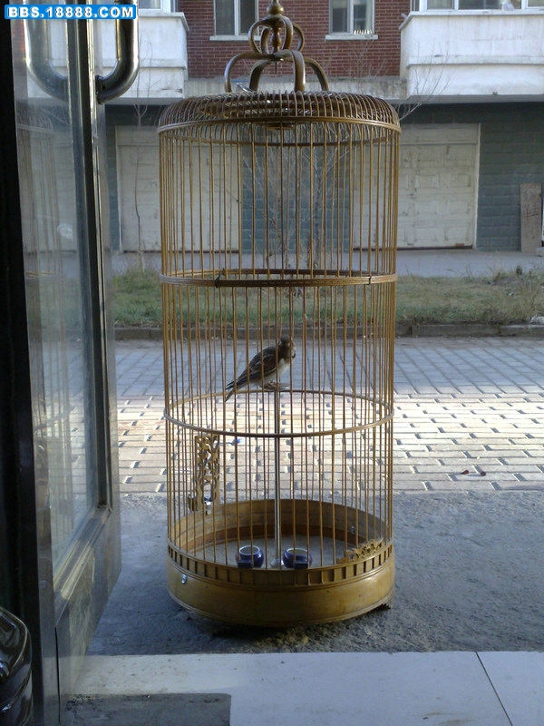20111002060.jpg