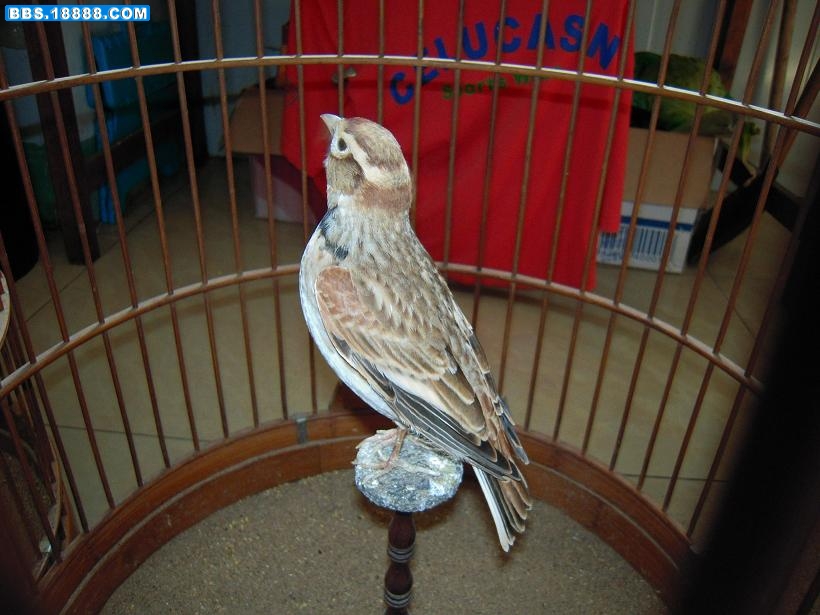 DSCN0338.JPG