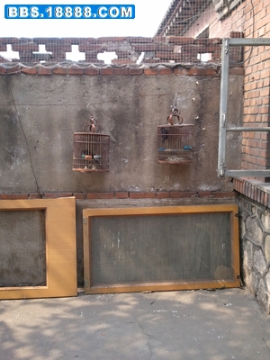 2011-10-04 11.42.26.jpg