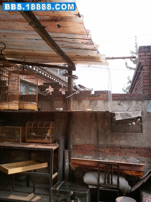 2011-10-04 11.40.48.jpg