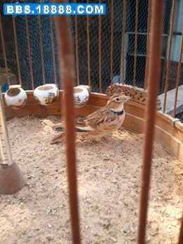 2011-10-04 11.44.07.jpg