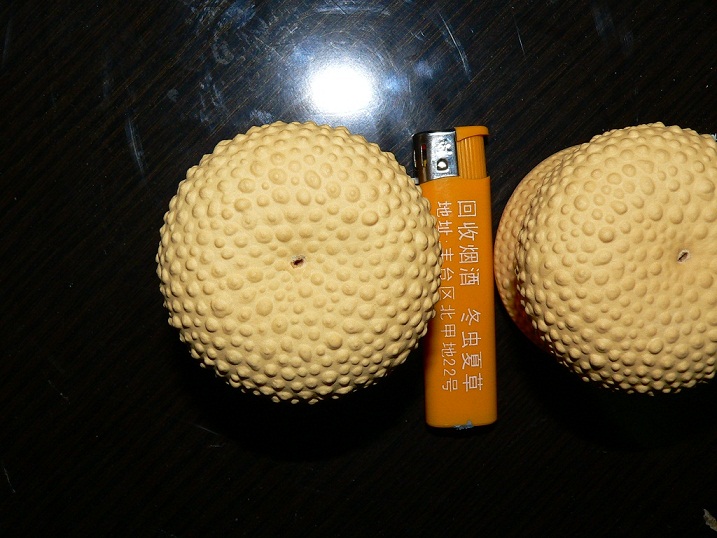 P1070145.JPG