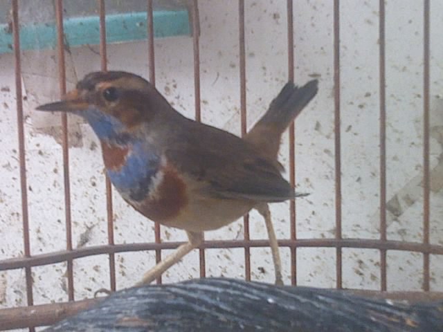 IMAG0008.jpg