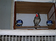 DSCN0319.JPG