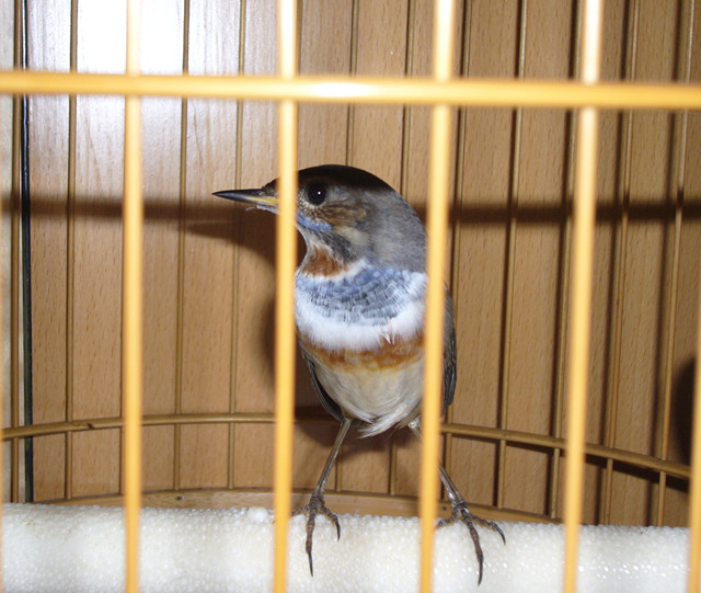 P1040710_副本.jpg