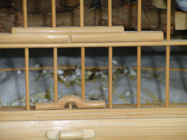 照片 079.jpg