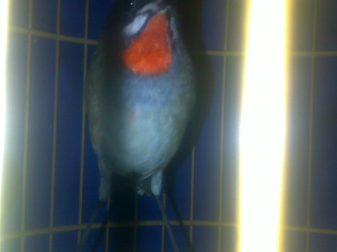 20111013687.jpg