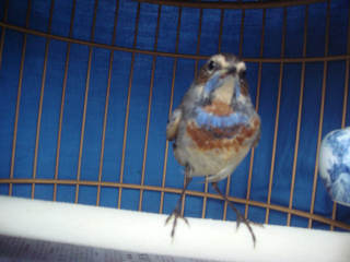 DSC05740.JPG