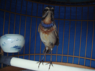 DSC05689.JPG