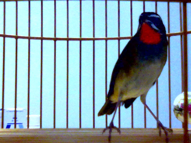 20111009302.jpg