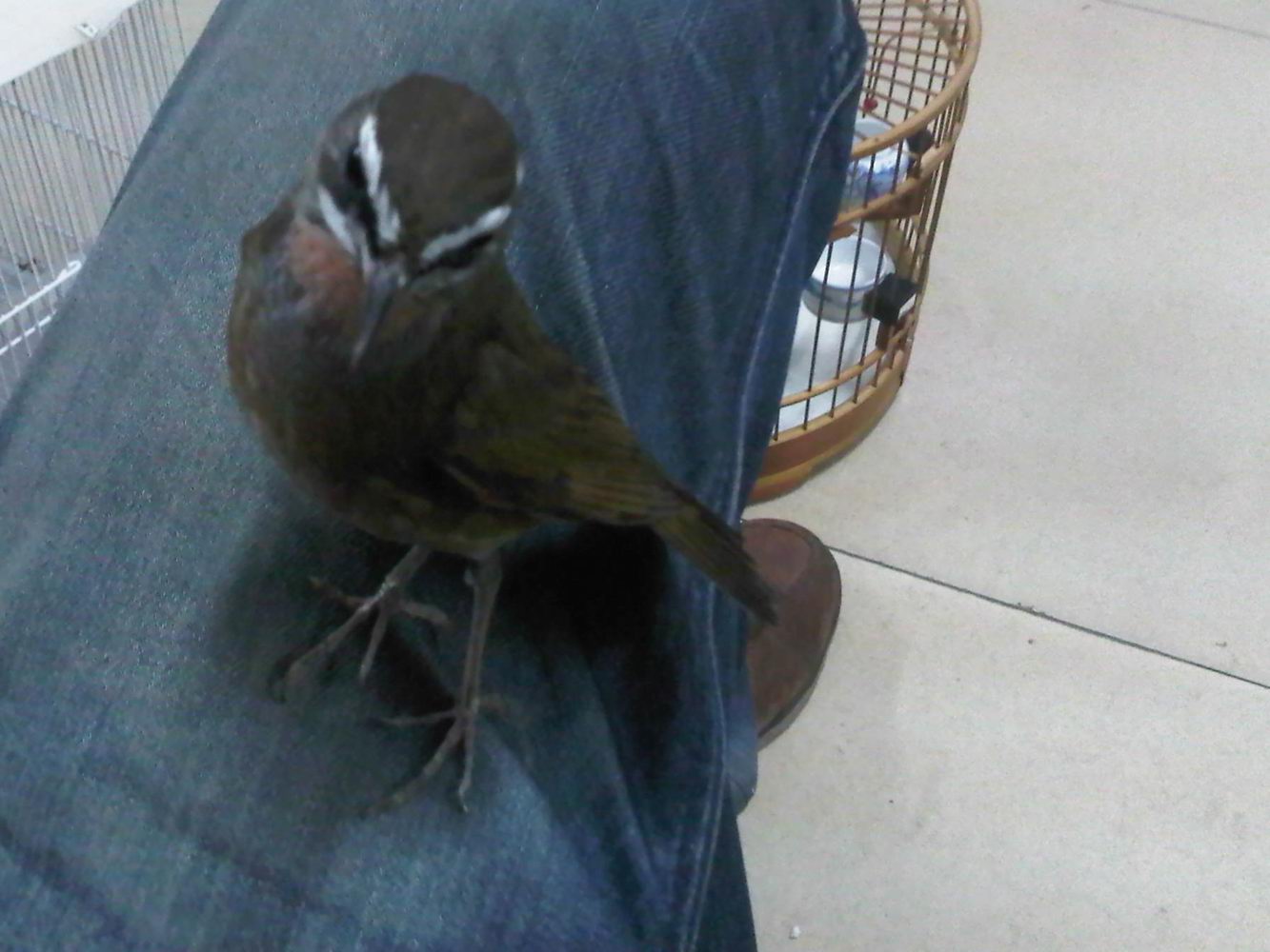 IMG00077-20101023-2208.jpg