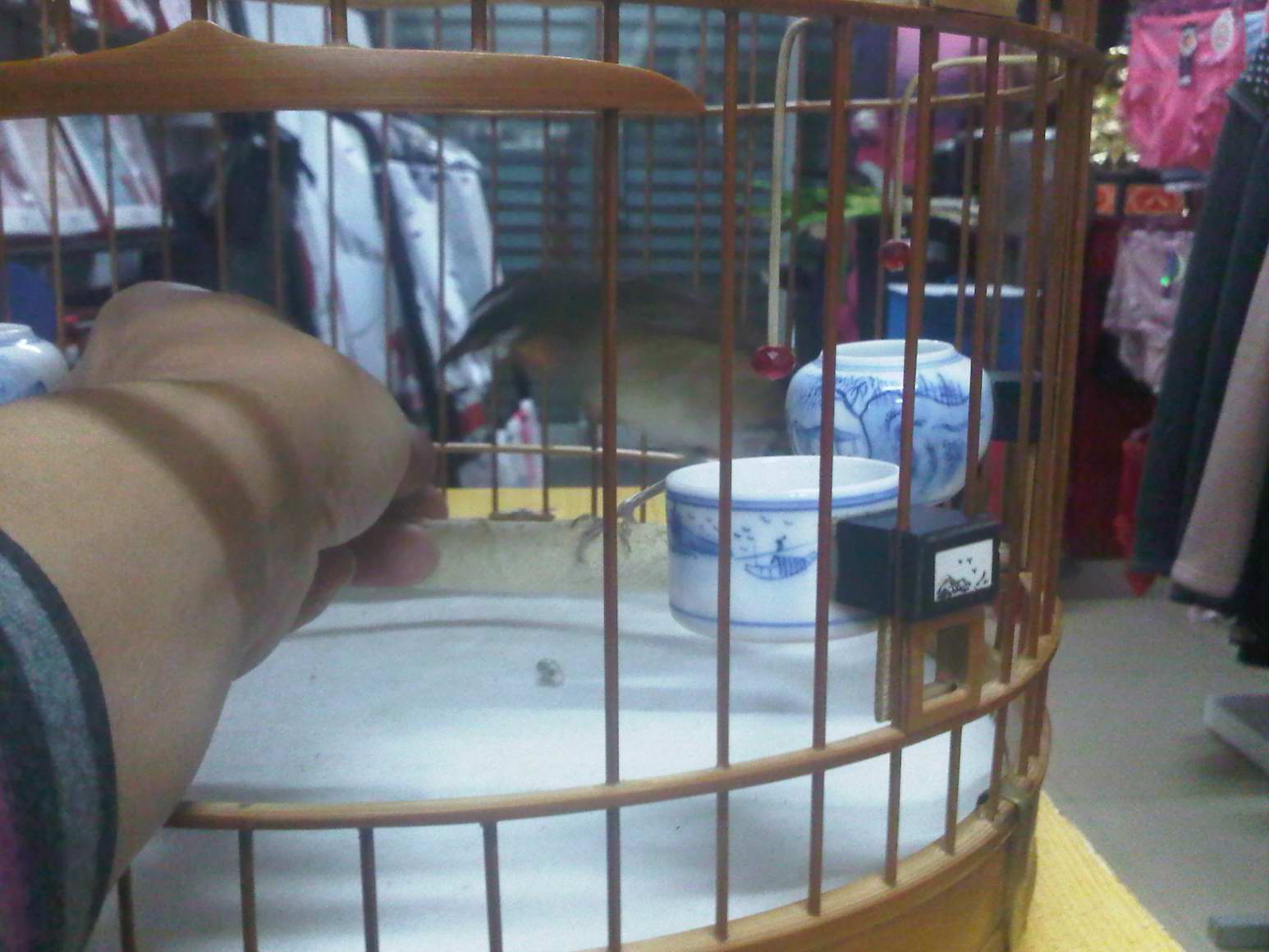 IMG00067-20101018-2334.jpg