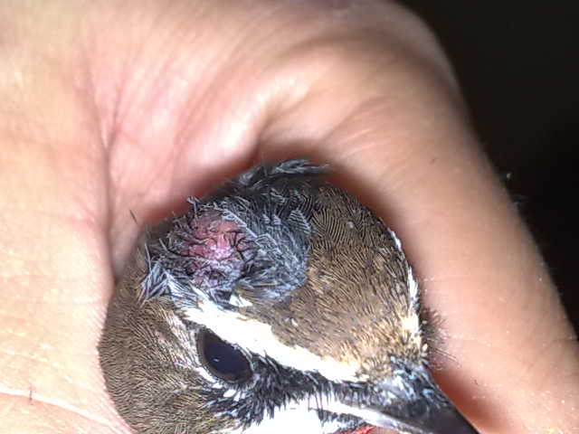 20111022389.jpg