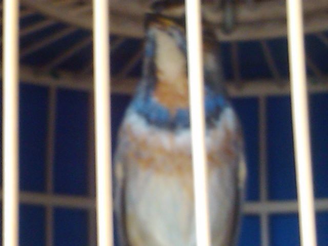 2011-10-27 13.17.44.jpg