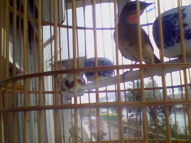 IMG0043A.jpg