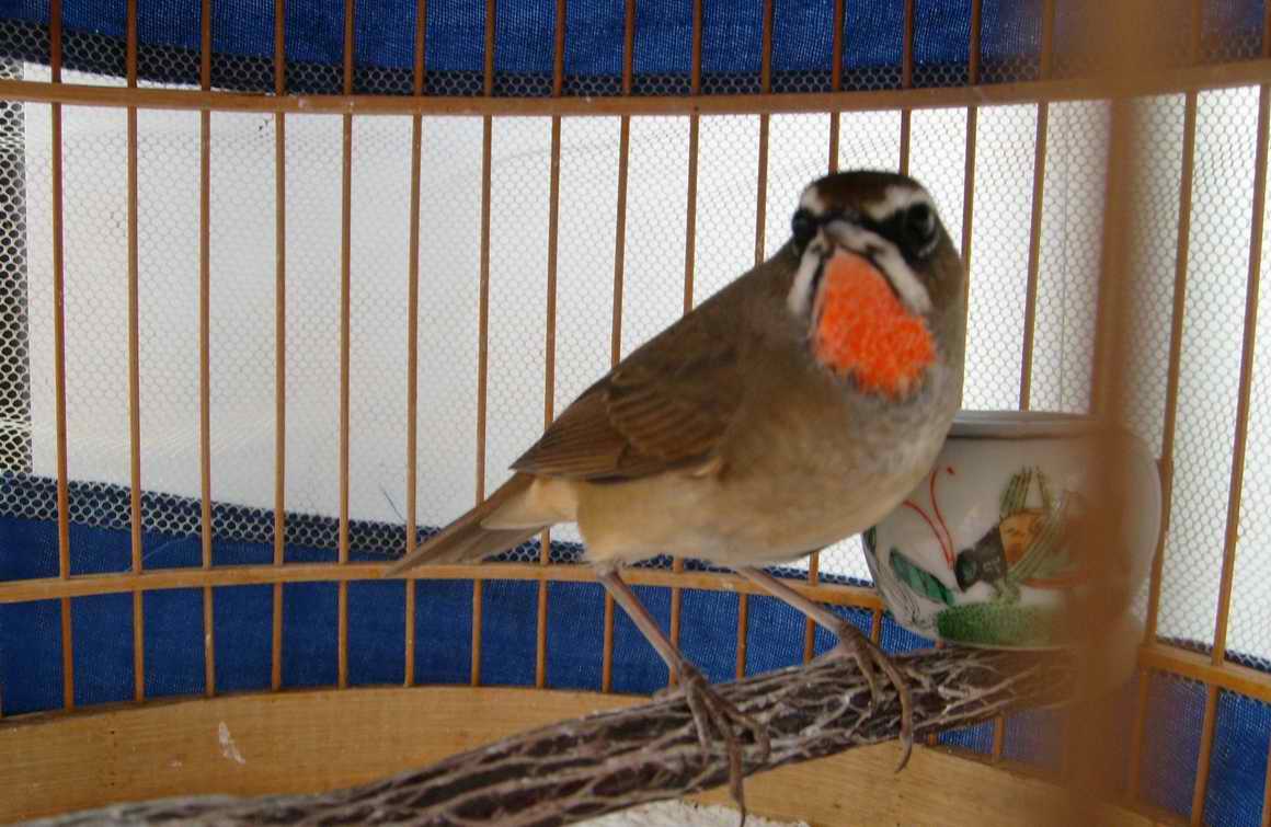 S7303010.jpg