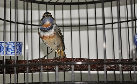 DSC_0069_nEO_IMG.jpg