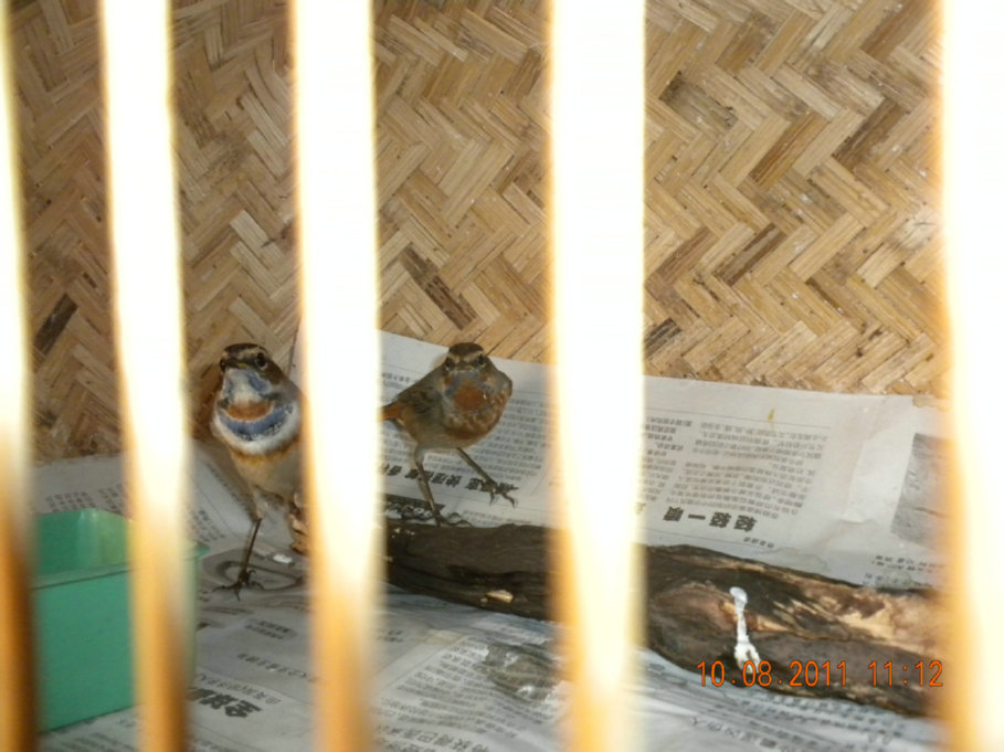 DSCN2178.JPG