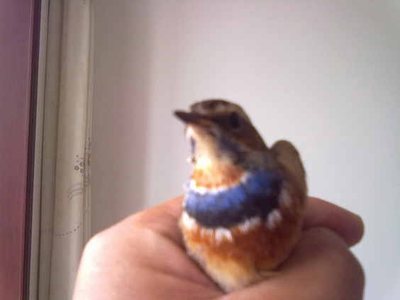 20111010078.jpg