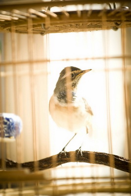IMG_0315_调整大小_调整大小.jpg