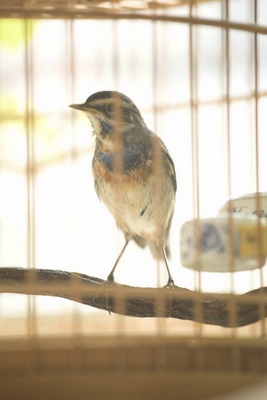 IMG_0420_调整大小_调整大小.jpg