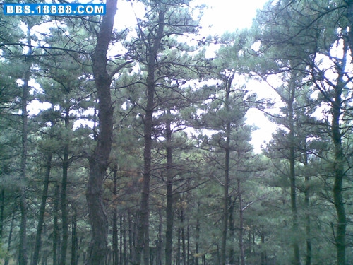 20110927_副本.jpg