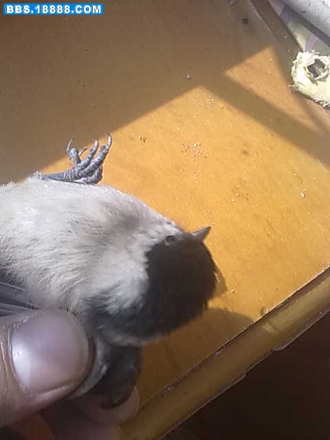 20111015008.jpg