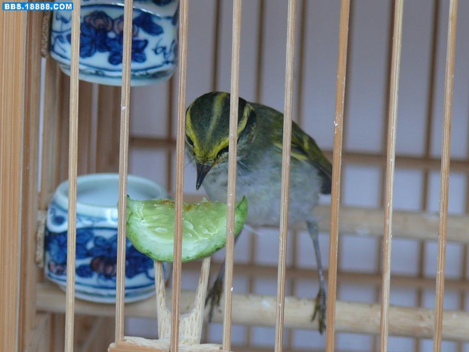 P1250714.JPG