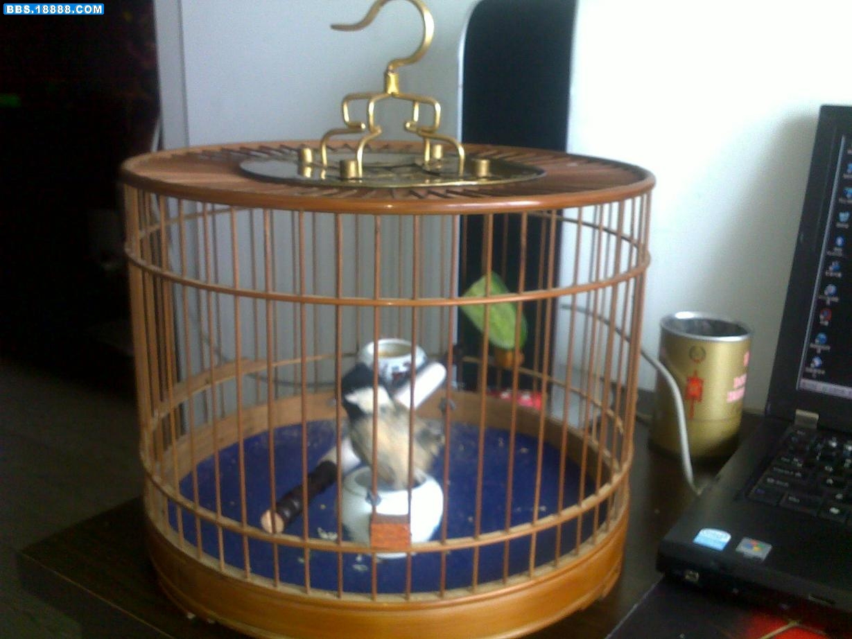 20111006858.jpg