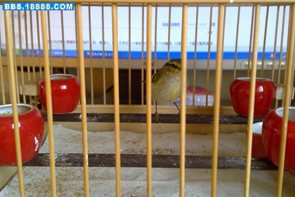 201110271104_副本.jpg
