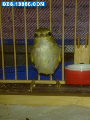 20111003975_副本.jpg