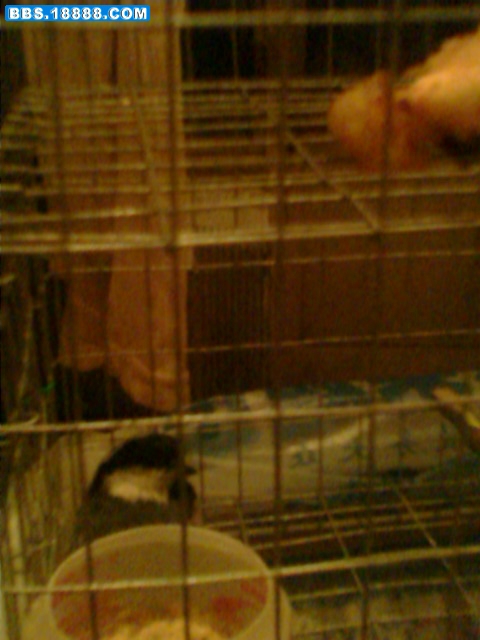 IMG1015A.jpg
