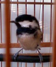 20111025(010).jpg