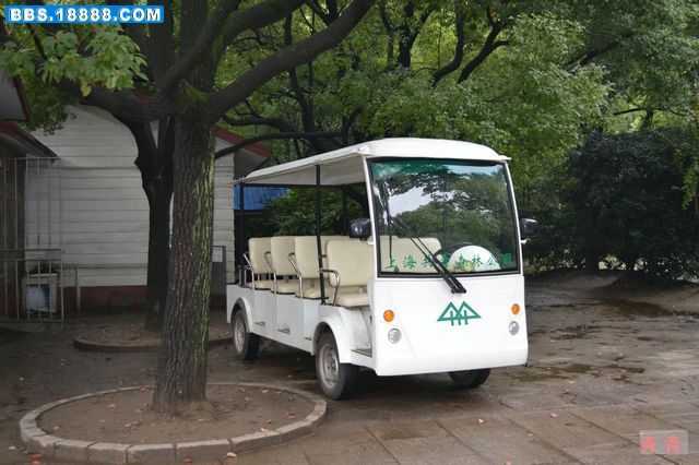 nEO_IMG_DSC_0175.jpg