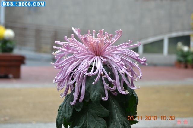nEO_IMG_DSC_0287.jpg