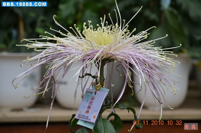nEO_IMG_DSC_0291.jpg