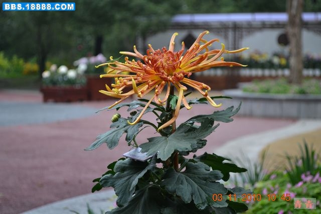 nEO_IMG_DSC_0313.jpg