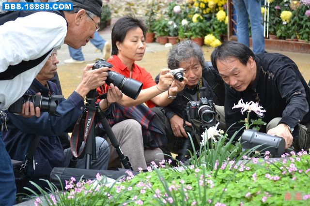 nEO_IMG_DSC_0271.jpg