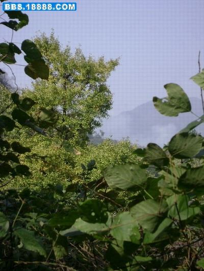 DSC04024.JPG