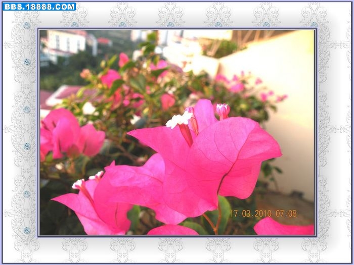 DSCN0859.JPG