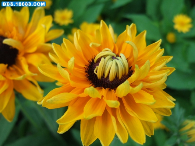 DSCF2181.JPG