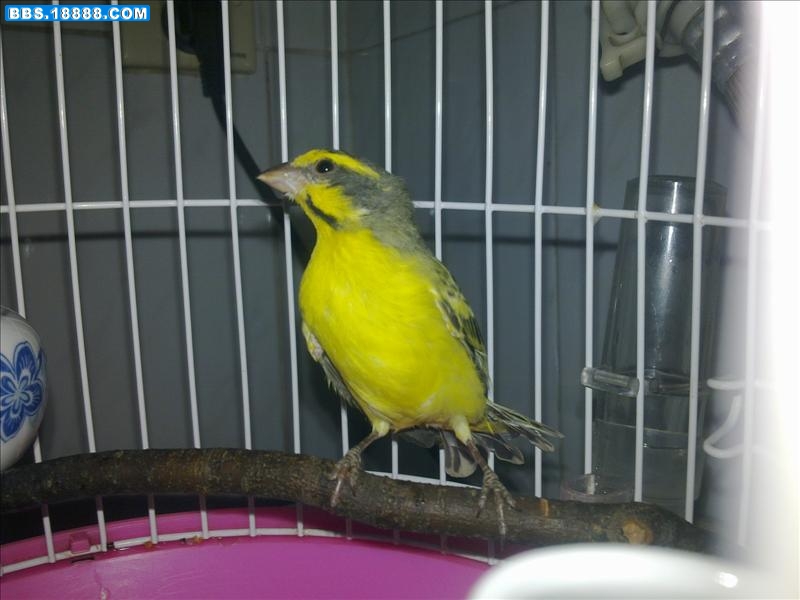 20111104994.jpg