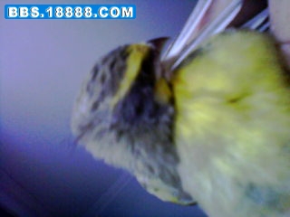 20111120_0917_1.jpg