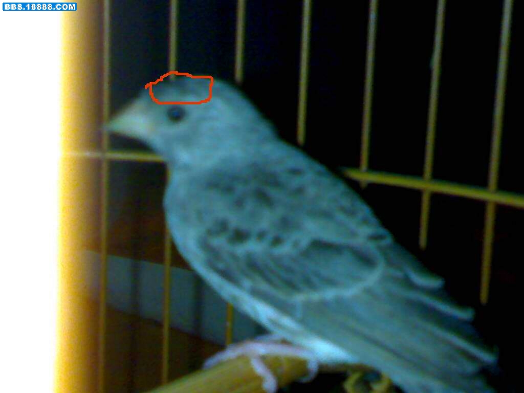 20111014317.jpg