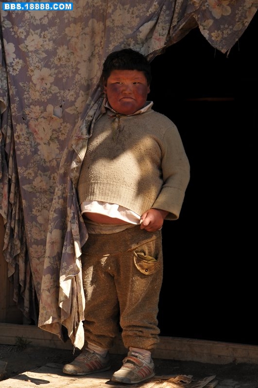 DSC_1650.JPG