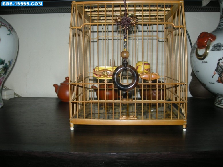 照片 169_conew1.jpg