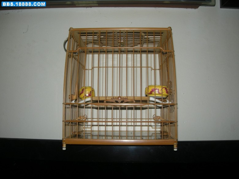 照片 143_conew1.jpg