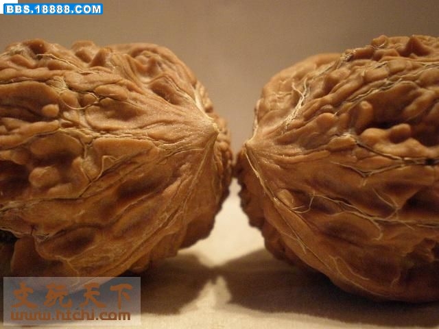 水龙纹虎头5.jpg