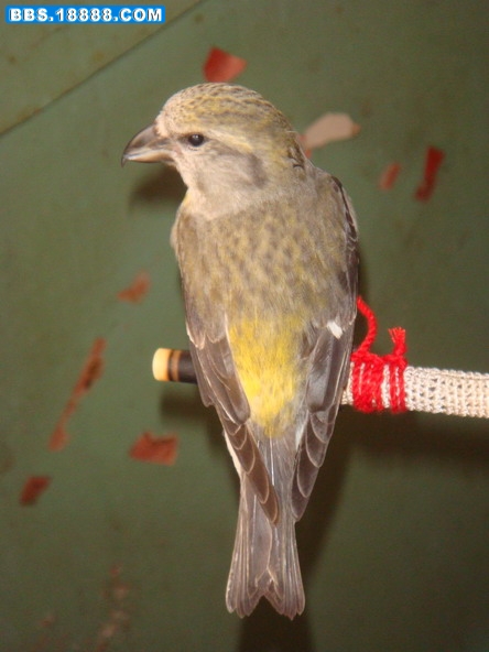 DSC09810_缩小大小.JPG